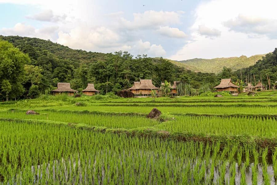 Experience Muang Xay’s heritage with guided tours